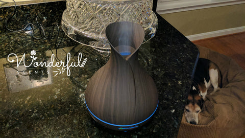 Diffusing Wonderful Scents Essential Oils With Pets
