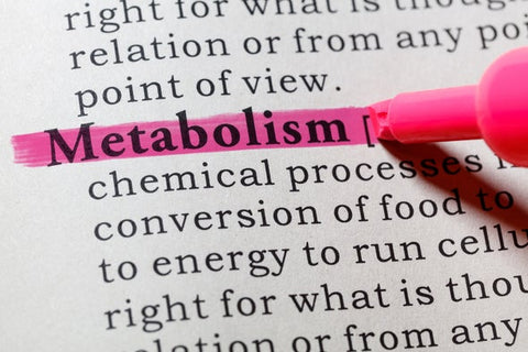 High metabolism rates can trigger night sweats