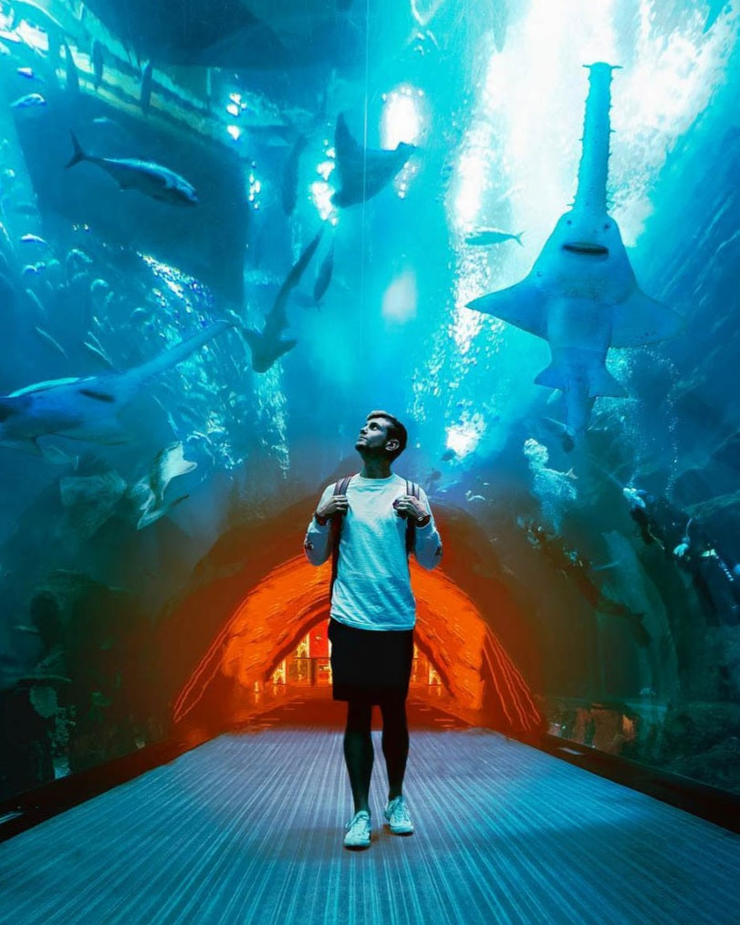 Lost LeBlanc walking through the Aquarium in the Dubai Mall with sharks