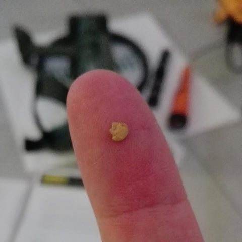 tiny gold nugget found by garrett atx metal detector