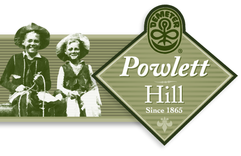 Powlett Hill