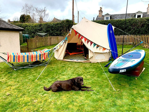 bell tent and dog