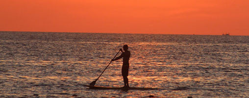 Stand Up Paddle Board Rentals