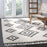 Apsel Black/Beige Area Rug 4' x 6'