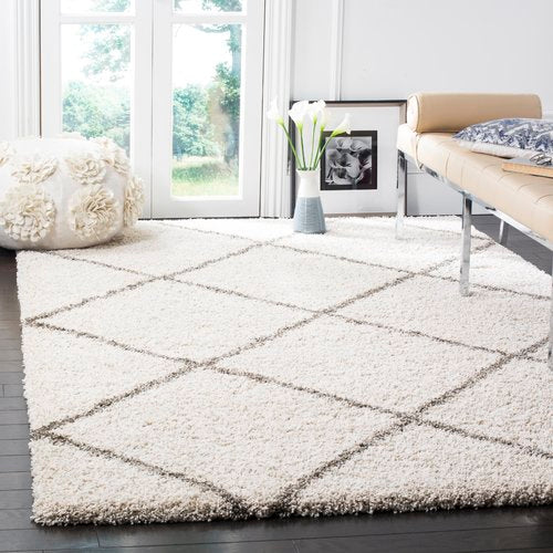 Duhon Ivory/Gray Shag Area Rug