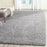 Thaddeus Colorway Silver Area Rug