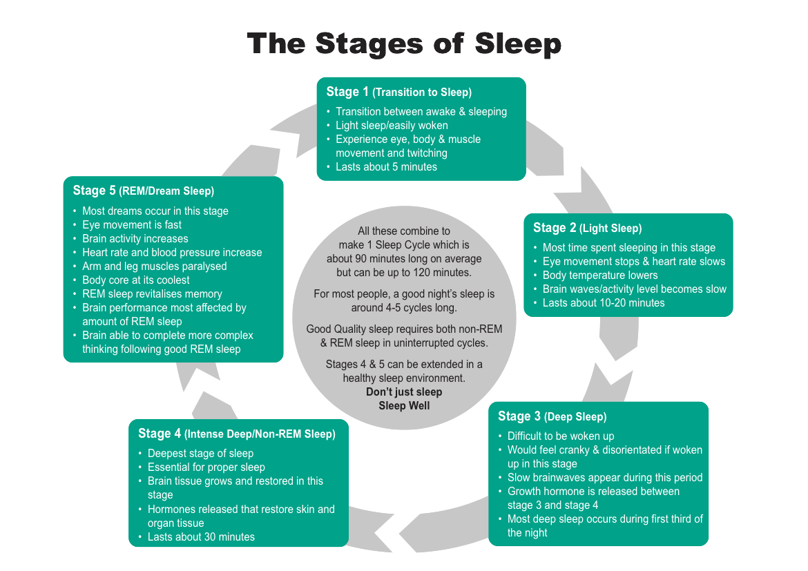 Five Stages of Sleep - Sleep Well Intelligent Bedding Systems