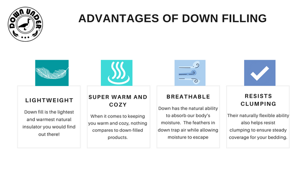 Advantages Pros of Down fill