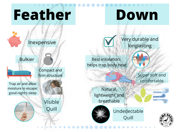 Difference between down and feather