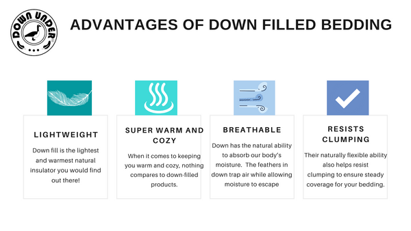Why you should buy down filled products