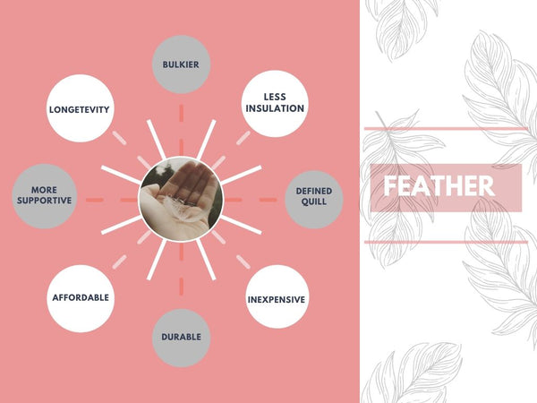 Advantages of feather