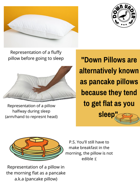 Pancake pillow reviews