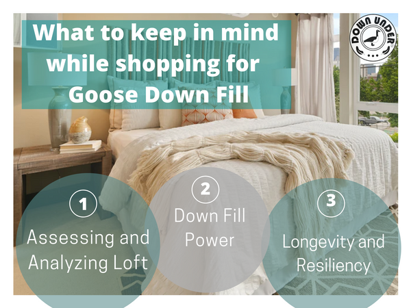 Top reasons to buy Goose down 