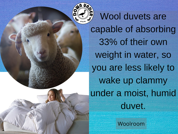 Wool fact