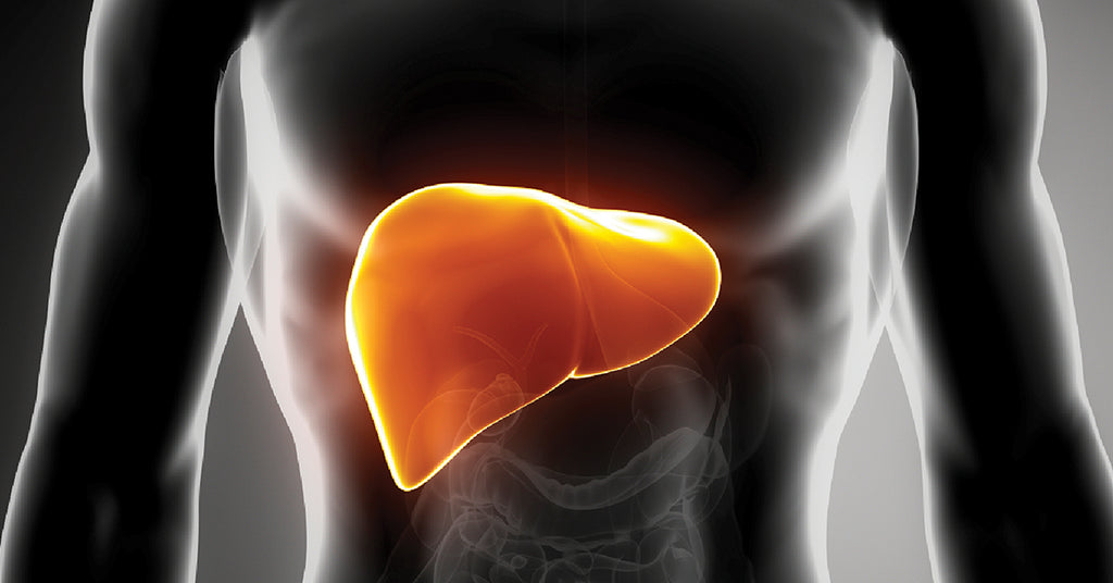 liver