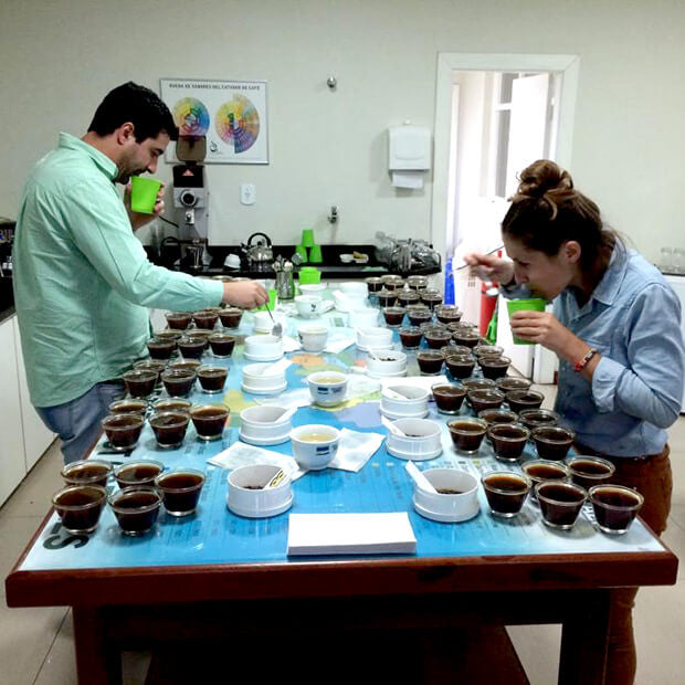 Cupping