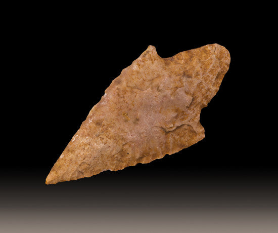 Arrowhead neolithic
