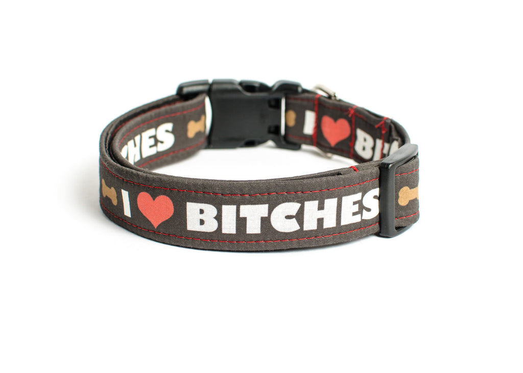 cute dog collars