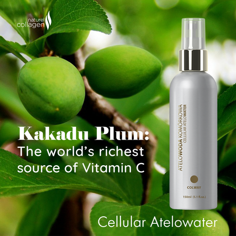 Cellular Atelowater - Naturel Collagen