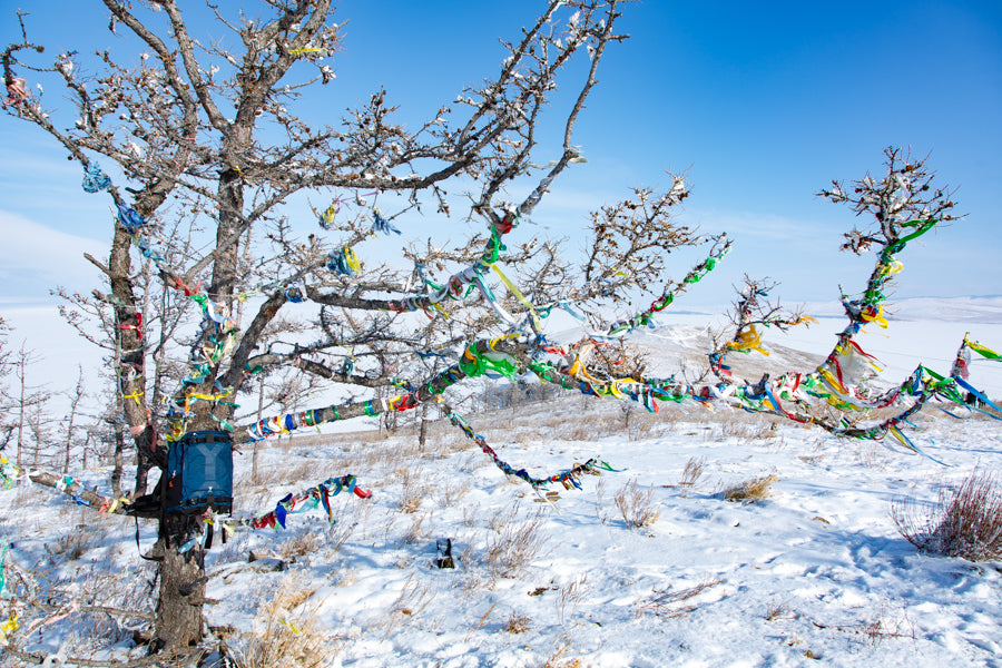 Ogoî island. Buddhist offerings. NYA-EVO Fjord 36 in Midnight Blue.