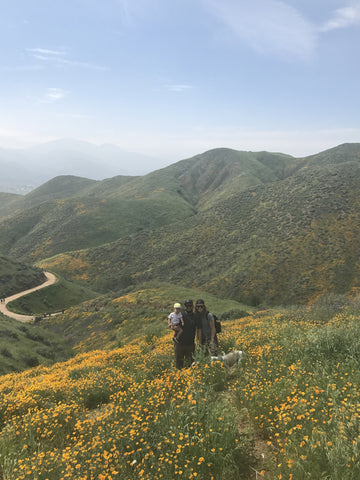 Thread Spun founders take a break from surf to hike amongst the superbloom.
