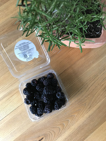 Thread Spun uses blackberries to naturally dye handmade bags.