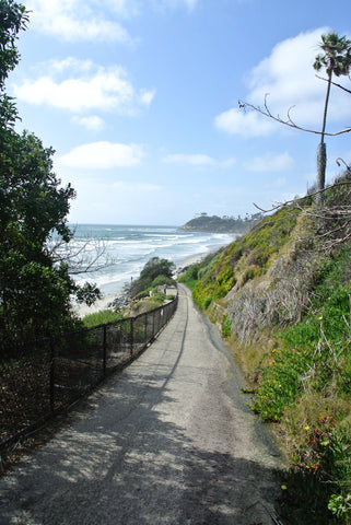 A view of Swamis Break from San Elijo Campgrounds.