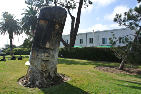 Local culture at Swamis beach park in Encinitas.