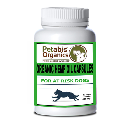 <img src="//cdn.shopify.com/s/files/1/1649/6257/files/Petabis_Organics_Topical_Salve_.25_and_1_oz_Dog_and_Cat_large.png?v=1500473292" alt="Petabis™ Organics Hemp Oil Capsules dog hemp oil capsules 300 mg dog hemp oil capsules 600 mg. dog hemp oil