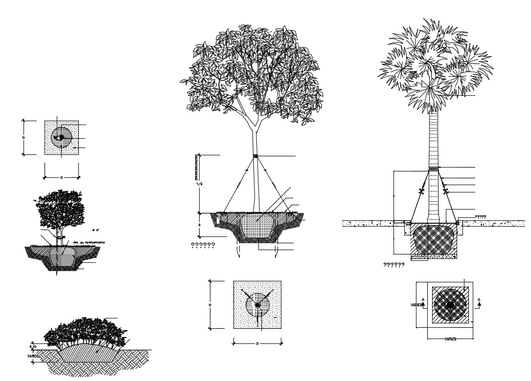Tree plan details