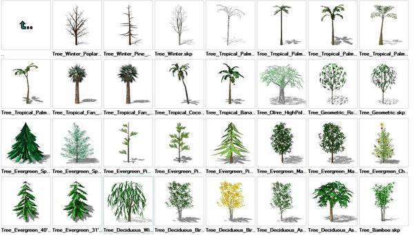 Sketchup Tree 3D models download – CAD Design | Free CAD Blocks