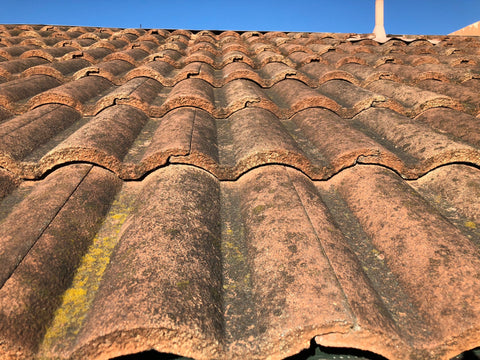 Tile Roof Before Cleaning