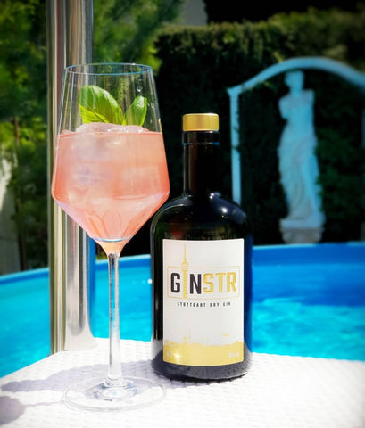 Aperitivo GINSTR