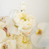 White Garden rose with orchids and peonies Sympathy flower delivery 