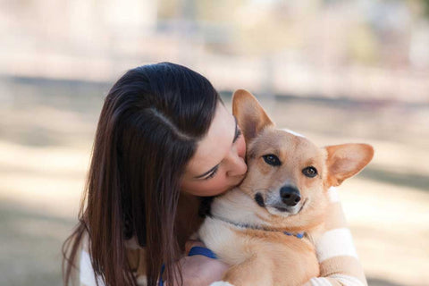 love dogs kissing dogs hugging dogs being physically close to dogs on https://animalwellnessmagazine.com/wp-content/uploads/Woman-kissing-small-dog_dreamstime_m_9114824.jpg