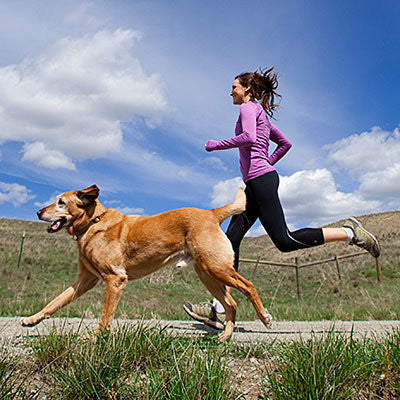 outdoor activities with your dog hiking with your dog walking with your dog playing with your dog and dog training
