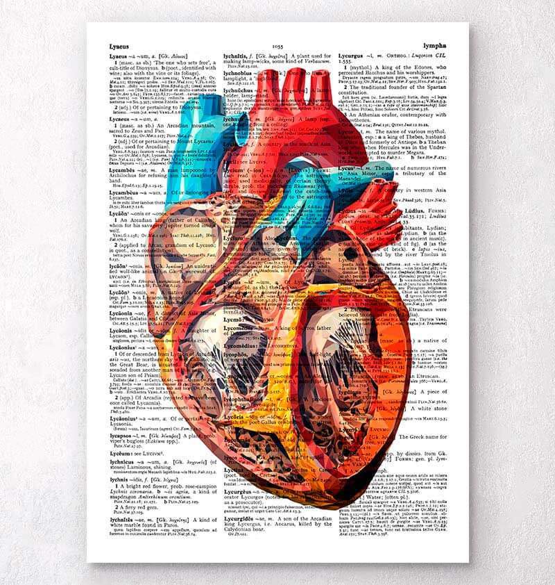 Geometrisches Herz Anatomie Poster Codex Anatomicus® 2696