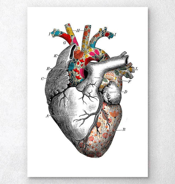 Floral pattern heart anatomy art - Codex Anatomicus