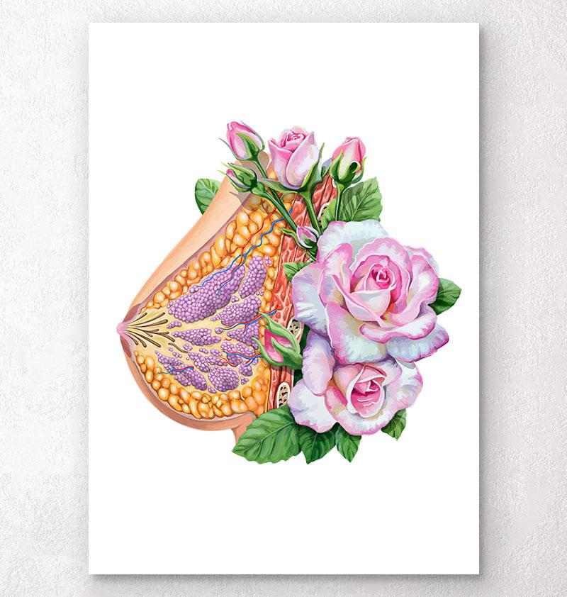 Floral breast anatomy art print - Codex Anatomicus