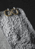 Champagne Circle Earrings