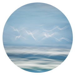 Judy Stokes, Auckland Festival of Photography