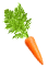 Carrots