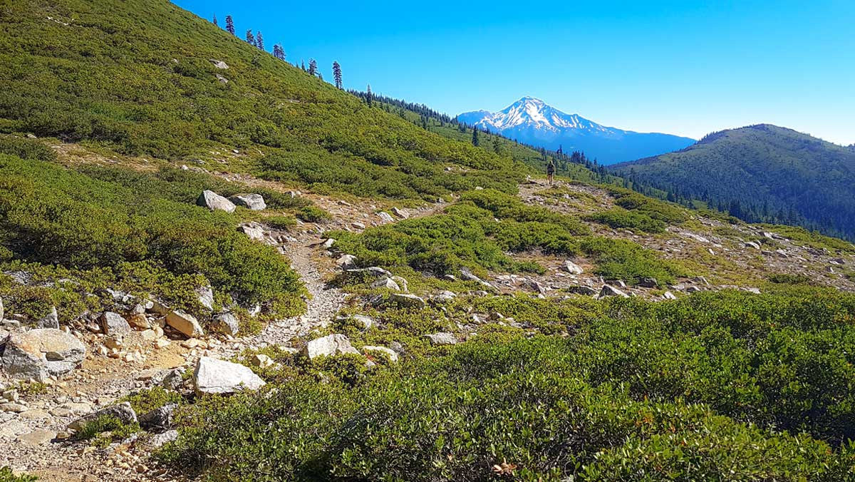 Leaving Mount Shasta behind 1500 plus miles into the Pacific Crest Trail