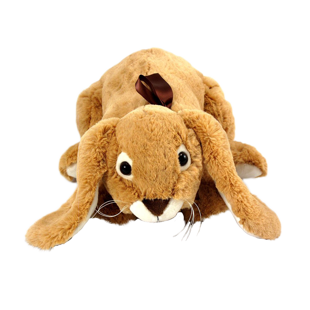 long eared bunny soft toy