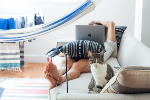 man lying couch with cat