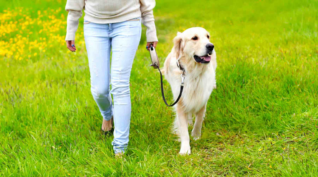 Femme avec chien