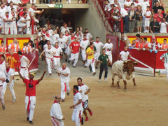 Arriving in the plaza with the bulls behind