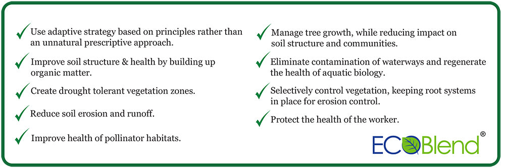 Sustainable Principles