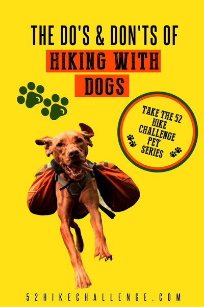 the do's and don'ts of hiking with your dog