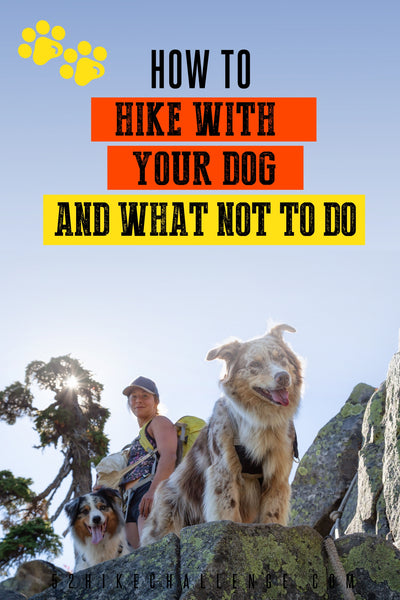 how to hike with your dog